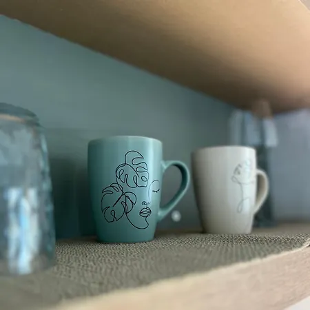 Cane Mosaic * Тирана