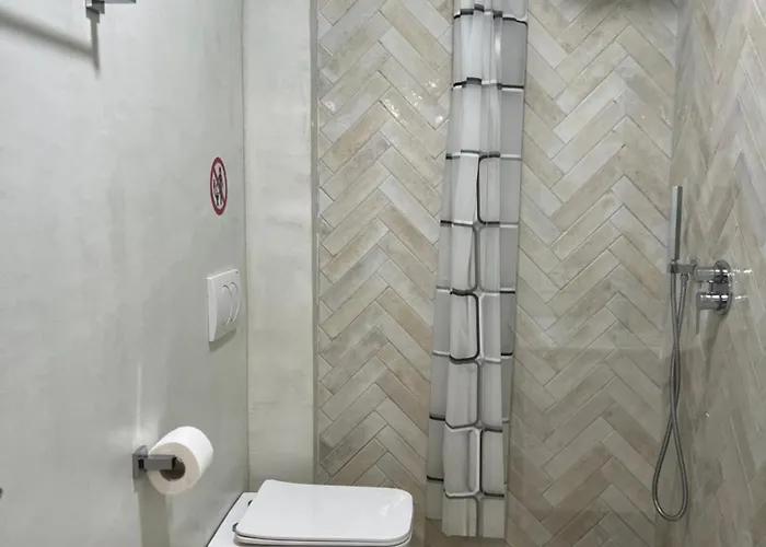 Cane Mosaic * Тирана