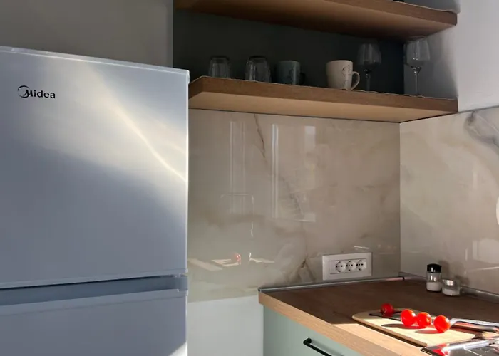 Cane Mosaic * Tirana